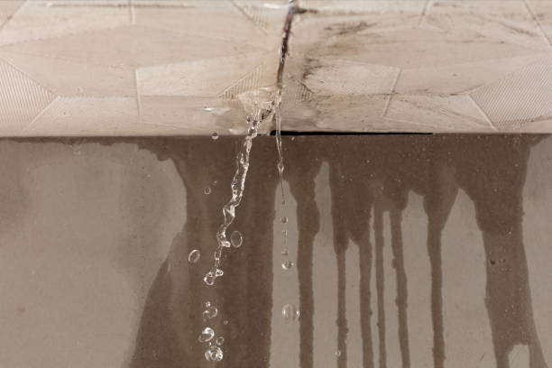 Professional Structural Drying technician working in Elmwood, WI